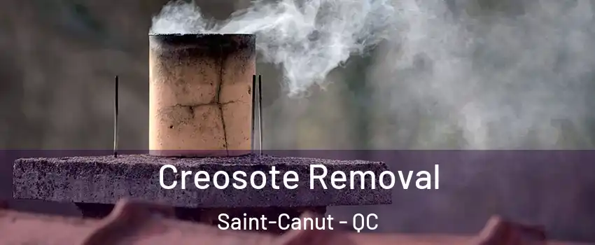  Creosote Removal Saint-Canut - QC