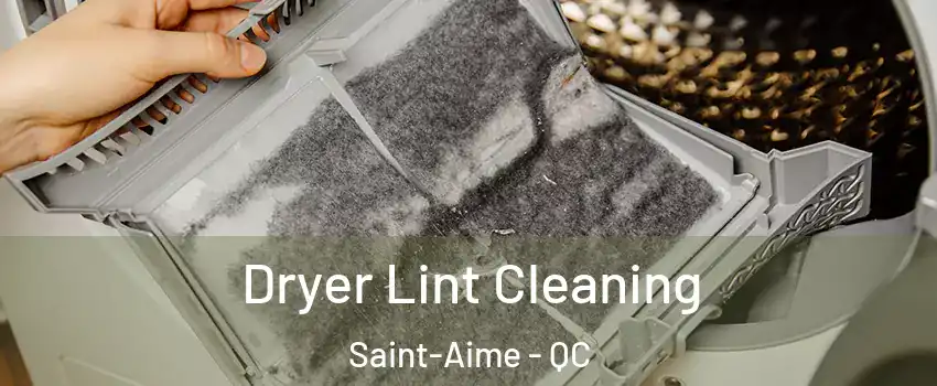  Dryer Lint Cleaning Saint-Aime - QC