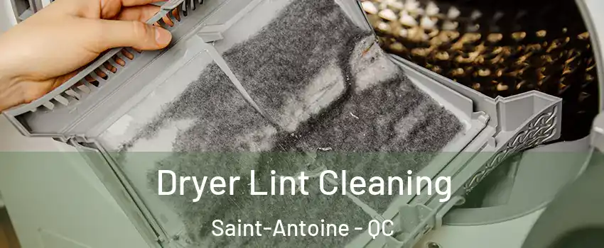  Dryer Lint Cleaning Saint-Antoine - QC