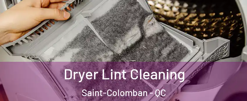  Dryer Lint Cleaning Saint-Colomban - QC