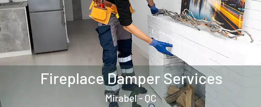  Fireplace Damper Services Mirabel - QC