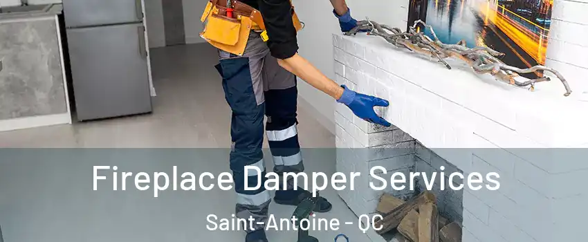  Fireplace Damper Services Saint-Antoine - QC