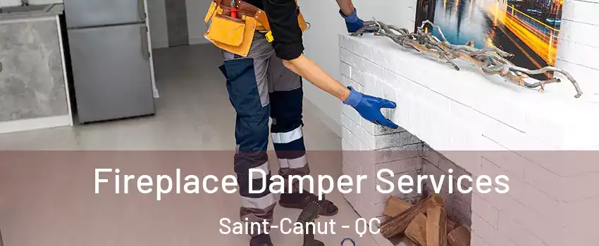  Fireplace Damper Services Saint-Canut - QC