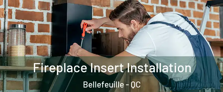  Fireplace Insert Installation Bellefeuille - QC