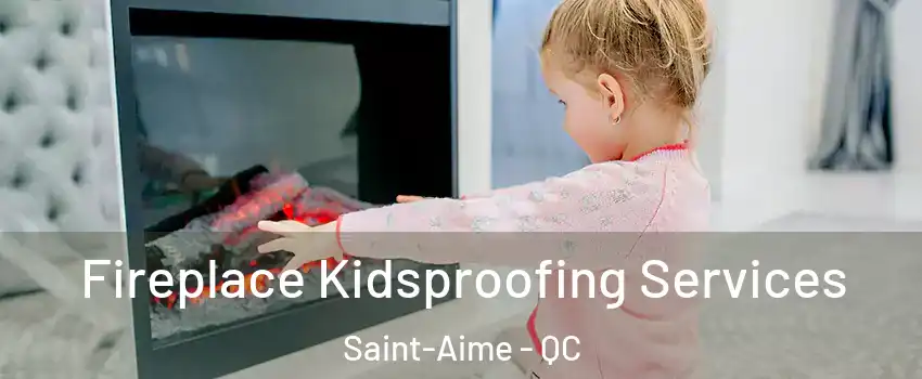  Fireplace Kidsproofing Services Saint-Aime - QC