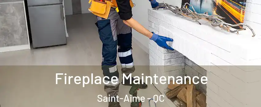  Fireplace Maintenance Saint-Aime - QC