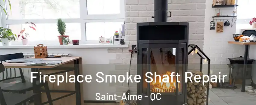  Fireplace Smoke Shaft Repair Saint-Aime - QC