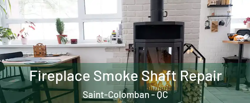  Fireplace Smoke Shaft Repair Saint-Colomban - QC