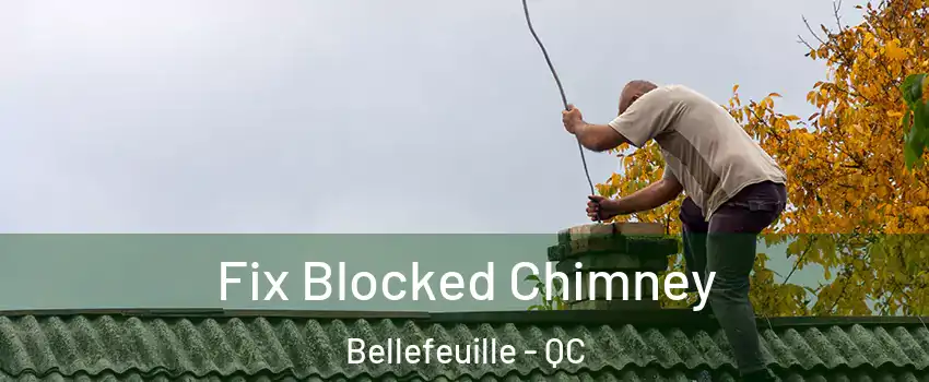  Fix Blocked Chimney Bellefeuille - QC