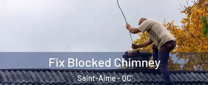  Fix Blocked Chimney Saint-Aime - QC