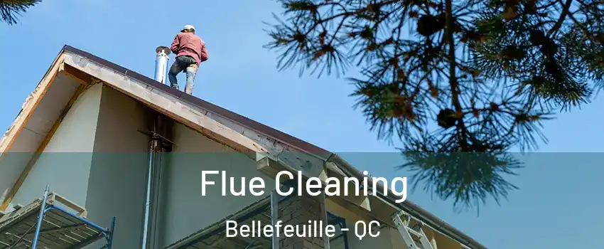  Flue Cleaning Bellefeuille - QC