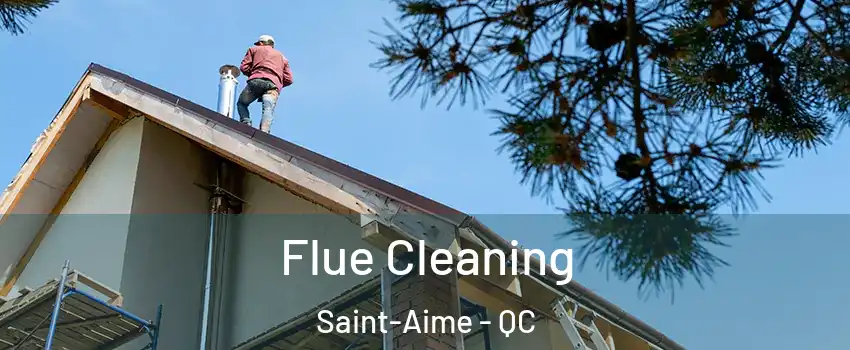  Flue Cleaning Saint-Aime - QC