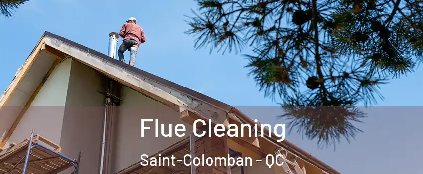  Flue Cleaning Saint-Colomban - QC