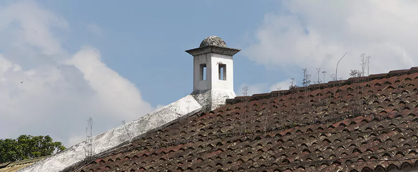 Wind-Resistant Chimney Caps Installation and Repair Services in Saint Jerome, Quebec
