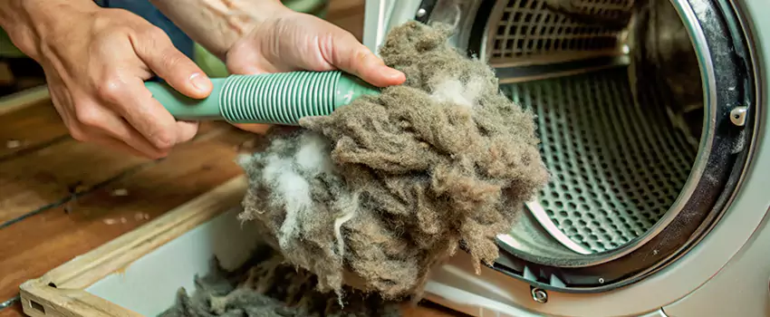 Best Dryer Lint Removal Company in Saint Jerome, Quebec