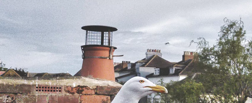 Chimney Cap Bird Guard Repair in Saint Jerome, Quebec