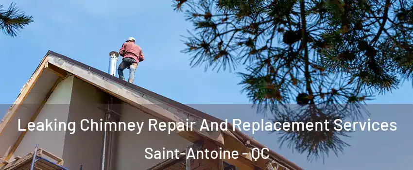  Leaking Chimney Repair And Replacement Services Saint-Antoine - QC