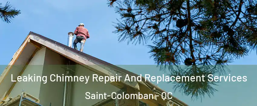  Leaking Chimney Repair And Replacement Services Saint-Colomban - QC