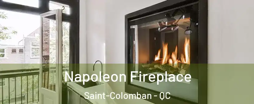  Napoleon Fireplace Saint-Colomban - QC