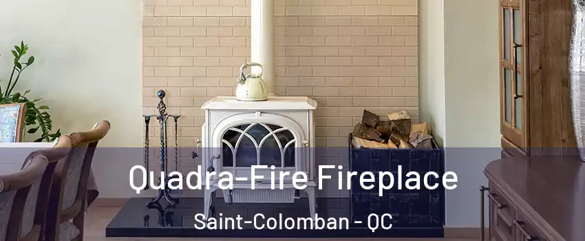  Quadra-Fire Fireplace Saint-Colomban - QC