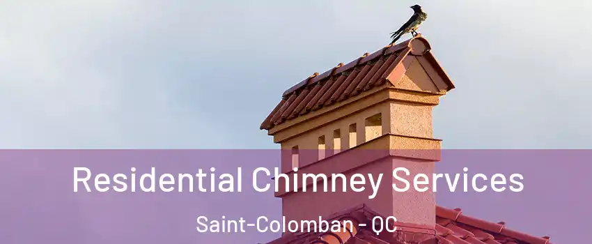  Residential Chimney Services Saint-Colomban - QC