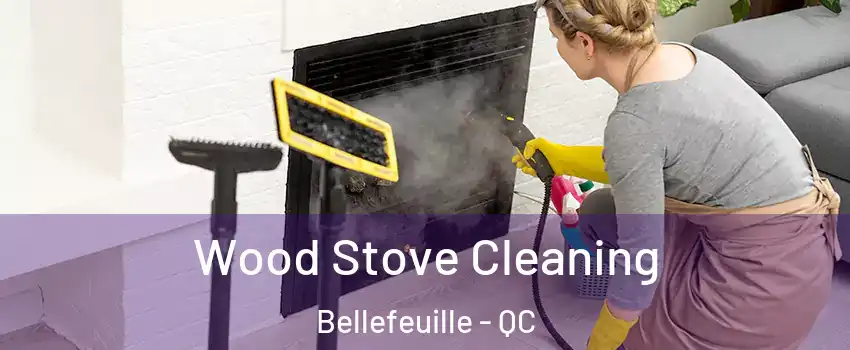  Wood Stove Cleaning Bellefeuille - QC